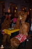 Faschingsveranstaltung Sa. 23.01.16_219